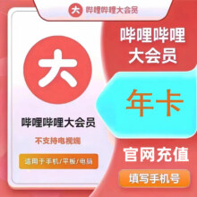 哔哩哔哩大会员12个月 毕哩毕哩年卡