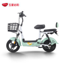 五星钻豹电动车 新国标电瓶车48V12AH小型代步车两轮电动自行车 L3 植物绿