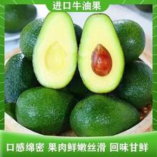 秘鲁 牛油果 6粒装 单果100-140g
