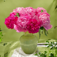 京东百亿补贴:京东鲜花 山东重瓣芍药多巴胺色10枝（至少三种颜色）可选发货时间