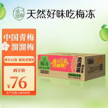 LIUM 溜溜梅 梅冻综合箱100g*24袋 孕妇儿童休闲小零食大礼包蒟蒻果冻