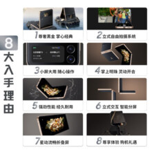 三星 SAMSUNG W23 Flip 尊奢黑金 掌心经典 立式自由拍摄系统 小屏大用 12GB+512GB 5G折叠手机 熠金黑