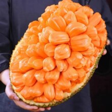 88VIP：果园密码 越南红肉菠萝蜜热带水果菠萝蜜8斤