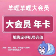 哔哩哔哩大会员年卡 bilibli会员12个月 b站会员年卡
