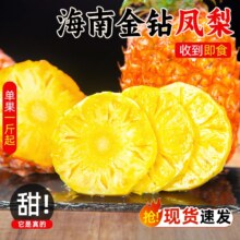 誉福园 海南金钻凤梨 4.5斤