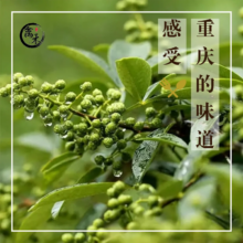 新鲜青花椒生花椒批发150g