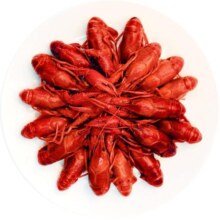 国联水产麻辣小龙虾加热即食整虾非龙虾尾冷冻生鲜熟食750g*3盒