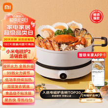 MIJIA 米家 小米电磁炉套装（电磁炉2+汤锅）家用多功能 大功率爆炒 圆形