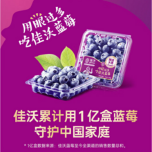 Joyvio 佳沃 云南蓝莓（14mm+）125g*12盒原箱