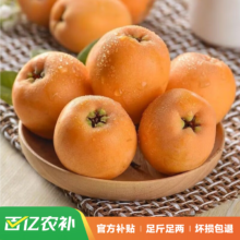 鑫果伴 四川攀枝花米易 大五星枇杷  约2.2斤 单果25g-35g