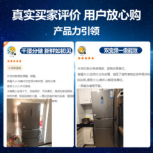 海尔(Haier)253升三门冰箱 双变频一级 干湿分储 宽幅变温 租房家用小冰箱 BCD-253WDPDU1
