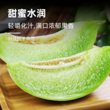 PLUS会员！鲜程祥合 冰淇淋玉菇甜瓜 净重 4斤 3只