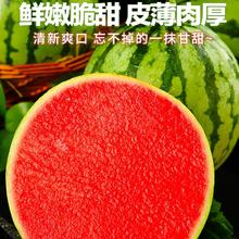 黄花地 麒麟西瓜新鲜水果当季斤麒麟小西瓜薄皮整箱麒麟西瓜 精美麒麟西瓜 净 重 5-6斤 （1个装）