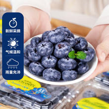 翰鸥斐 特大果 蓝莓 125g*6盒 15mm-18mm