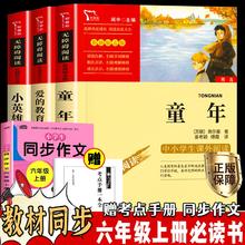 童年 高尔基 六年级上册快乐读书吧课外书爱的教育小英雄雨来全套3册