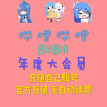 哔哩哔哩会员12个月 bilibili会员B站大VIP会员1年卡