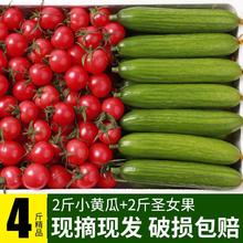 百亿补贴：澳农卡圣女果水果小黄瓜新鲜西红柿子樱桃番茄千禧青瓜生吃2/4斤