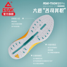 匹克态极2.0pro跑步鞋太极官方透气夏季织面加厚中底运动鞋 大白/尉兰(男款) 42