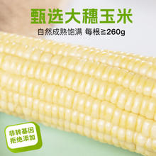 甄品草原 羔羊肉卷 500g
