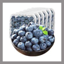 PLUS：丹东蓝莓 果径15MM 独立盒装*250g