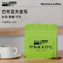 mantova 曼图瓦 精品咖啡豆 巴布亚天堂鸟 新鲜烘焙手冲咖啡豆227g