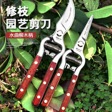 RUR 锐尔 修枝剪园艺剪刀剪树枝专用剪刀粗枝剪园林修剪果树修枝花艺修花剪