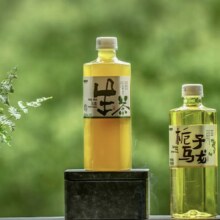 别样泡泡 无糖0脂生茶栀子乌龙茶 500ml*6瓶
