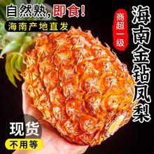 誉福园 海南金钻凤梨4.5斤