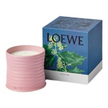 【官方正品】LOEWE罗意威常春藤香氛香薰蜡烛 植物居家礼物官方