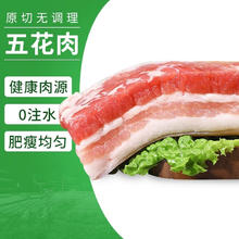 新鲜五花肉 5斤