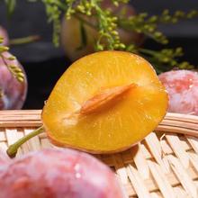 百果捞铺子 智利进口 J级西梅 5斤装