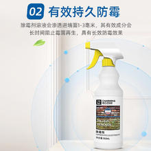 YACAIJIE 雅彩洁 墙体除霉剂500ml