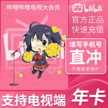 哔哩哔哩电视大会员12个月