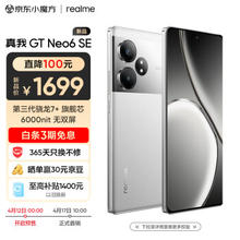 realme 真我 GT Neo6 SE 5G手机 8GB+256GB 流银骑士