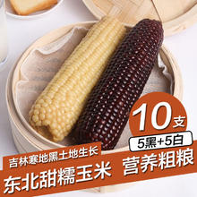 KEEP W-VILLAGE GO 守望乡村 东北甜糯玉米200g*10支