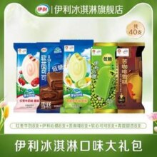 伊利 全家福冰淇淋组合40支