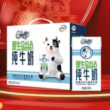 yili 伊利 QQ星伊利原生DHA儿童纯牛奶125ml*16盒/箱 学生营养高钙牛奶 礼盒装