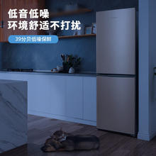 SKYWORTH 创维 小型 双门 家用 低音 电冰箱（厂送） BCD-170_普利金