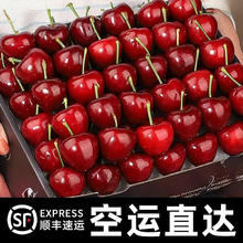 樱鲜 美早大樱桃 国产车厘子 3斤 JJ级 26-28mm 顺丰空运