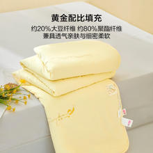 BLISS 百丽丝 全棉大豆抗菌夏被 200*230cm