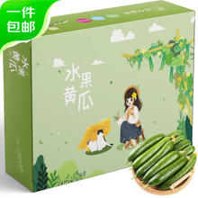 京百味 山东水果小黄瓜 2.5kg装