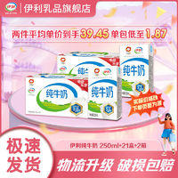 yili 伊利 纯牛奶250ml*21盒*2箱 新老包装随机发 学生早餐特价