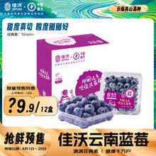 JOYVIO 佳沃 云南当季蓝莓14mm+ 12盒原箱 约125g/盒