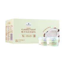 MEMBER'S MARK 椰子风味发酵乳 1.62kg(135g*12)