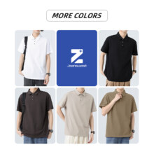 真维斯集团 Jeanswest Z+ 2024新款男士日系潮流休闲POLO衫*2件 多色