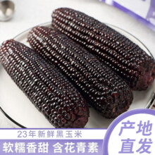 京东百亿补贴：饭小鲜 黑玉米 香糯甜玉米棒 180g/根 共1800g