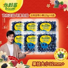 百亿补贴：DRISCOLL'S/怡颗莓 怡颗莓云南蓝莓小果125g*4盒当季新鲜采摘孕妇水果辅食果径12mm+