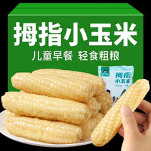 谷园绘 拇指小玉米！！西双版纳白拇指香糯小玉米A级 4斤