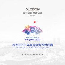 格兰贝恩Globon夏季羽绒枕头芯冷热双面单只成人枕酒店鹅毛枕芯护颈枕 四季枕（冷热双用） 高枕 46*72*15cm