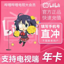 哔哩哔哩 电视大会员一年12个月 支持电视端